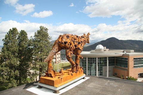 坎卢普斯校园楼顶的郊狼雕像