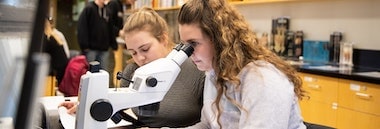 学生通过显微镜看东西